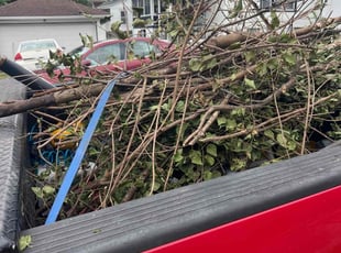 Cleanups by Jon Race for Bill B. in Cincinnati, OH
