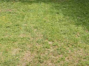 Brenda F.'s Cleanups service result