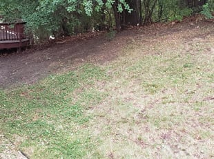 Leaf Removal by Kevin Meysembourg for Tanjerae W. in Maplewood, MN