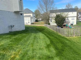 Clarence T.'s Yard Cutting service result