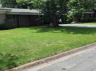 Shelly S.'s Lawn Maintenance service result