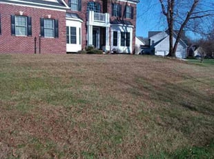 Leaf Removal by Darryl Blanchard for Tasha S. in Bowie, MD