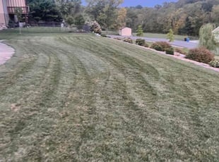Barbara w.'s Lawn Mowing service result
