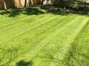 Zack K.'s Lawn Service service result