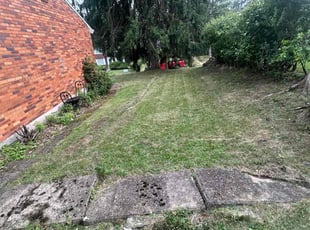Christopher C.'s Lawn Service service result