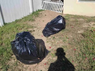 Bush Trimming by Carlos Martinez for Paul G. in Haines City, FL