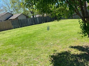 Randy R.'s Lawn Mowing service result