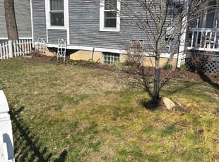 Cleanups by Zane Vogelsang for Robert D. in Cincinnati, OH