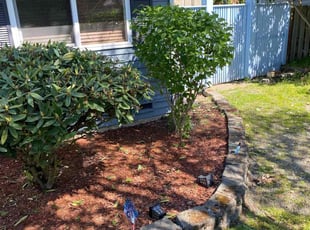 Bush Trimming by Mike Davis for Lea M. in Federal Way, WA