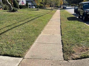 Tracie L.'s Grass Cutting service result