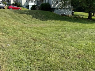 Michael J.'s Lawn Care service result