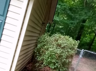Bush Trimming by August Jones for Margaret O. in Raleigh, NC