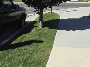 Sandy S.'s Lawn Care service result