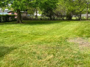 Kathryn M.'s Lawn Care service result