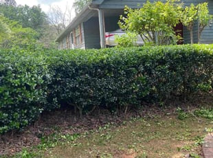 Bush Trimming by Louis Sampson for Johnathan H. in Marietta, GA