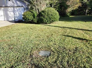 Amber T.'s Lawn Care service result