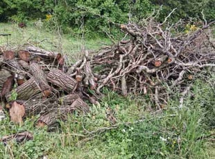 Cleanups by Robert Maurer for Chrisana B. in Evansville, IN