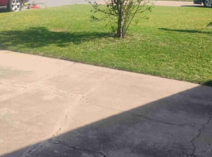 Abraham M.'s Lawn Mowing Service service result