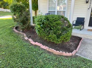 Bush Trimming by Donald Tucker for Justin M. in Dumfries, VA