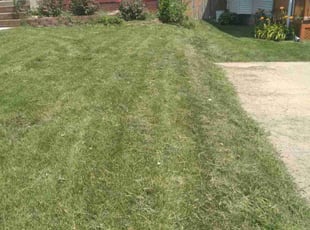 Tyrone R.'s Lawn Service service result