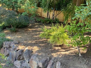 Cleanups by Mike Davis for Ivan Z. in Bellevue, WA