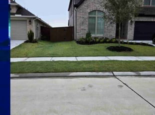 irvin d.'s Lawn Care service result