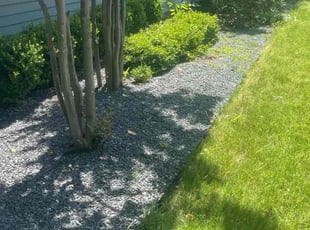 Bush Trimming by Andrew Martinez for Allen N. in Austin, TX