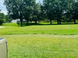 Coretta O.'s Lawn Mowing Service service result