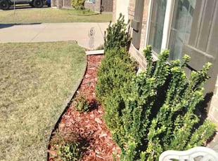 Weeding by Sam Tyler for Mark M. in Oklahoma City, OK