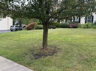 Debbie L.'s Lawn Service service result