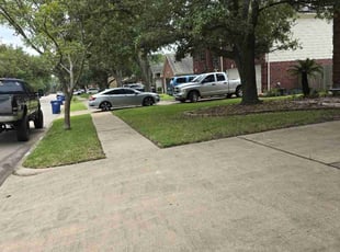 Tammy H.'s Lawn Mowing service result