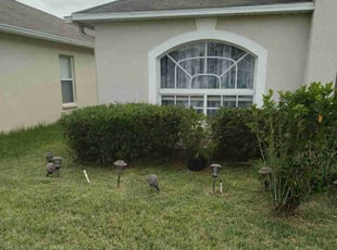 Bush Trimming by Raymone Wimpye El for Jean L. in Land O' Lakes, FL
