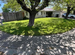 Azita A.'s Grass Cutting service result