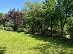 Jodie B.'s Lawn Care service result