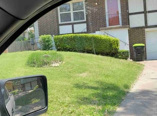 Bush Trimming by Jacob Russi for Nadia N. in Blue Springs, MO