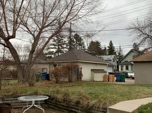 Leaf Removal by Shawn Spiess for Adam N. in Minneapolis, MN