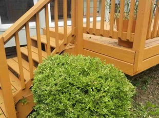 Bush Trimming by Jon Coen for Sarah O. in Urbandale, IA
