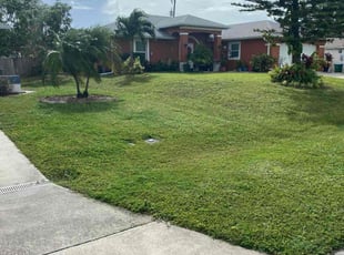 Erica C.'s Lawn Care service result