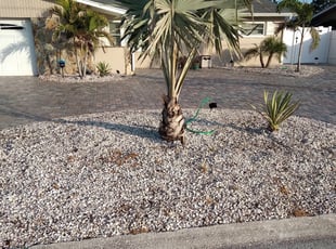 Weeding by Raymone Wimpye El for Tammy B. in St. Petersburg, FL