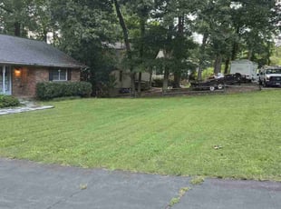 Liza S.'s Yard Cutting service result
