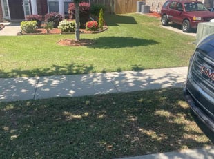 Bonnie P.'s Lawn Care service result
