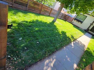 Jimmy S.'s Lawn Care service result
