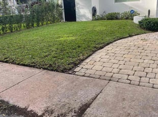Ruth D.'s Yard Cutting service result
