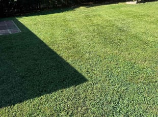 gabriel s.'s Lawn Mowing service result