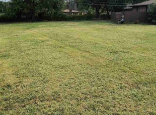 adam S.'s Lawn Service service result