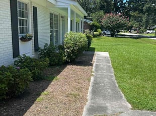 Dave H.'s Bush Trimming service result
