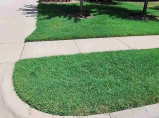 Larry H.'s Lawn Mowing service result