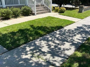Helen M.'s Lawn Mowing Service service result