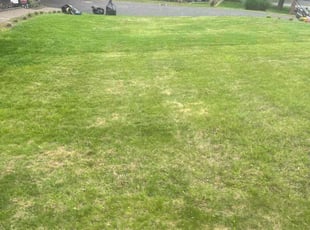 Leaf Removal by Jamal David for Susan S. in Haworth, NJ