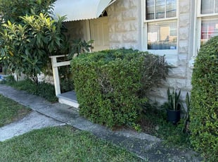 Bush Trimming by Bennett Handy for Jeremy H. in Orlando, FL